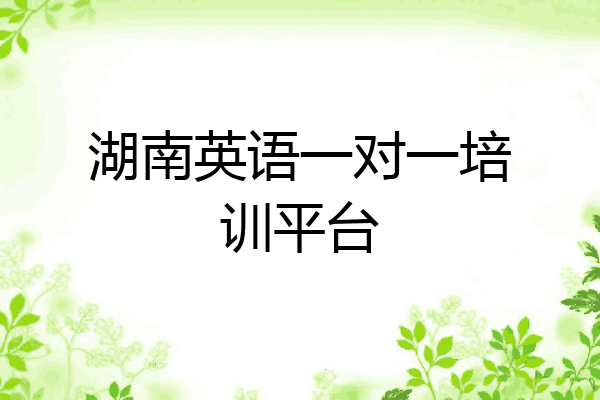 湖南英语一对一培训平台