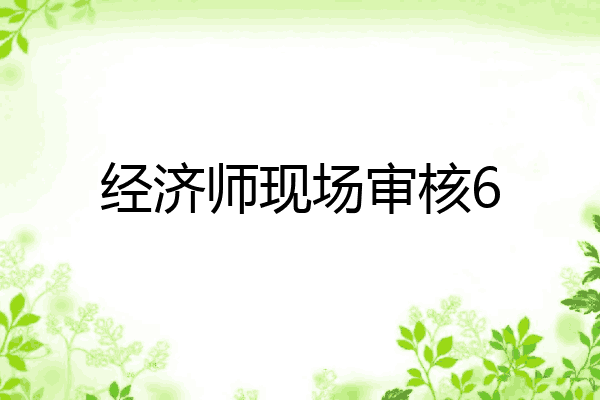 经济师现场审核6