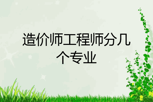 造价师工程师分几个专业