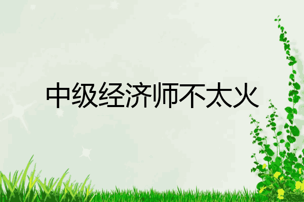 中级经济师不太火
