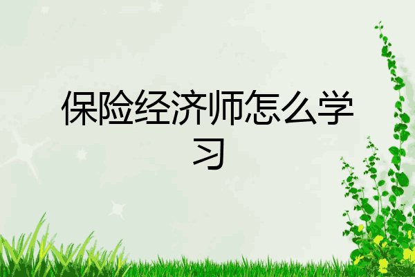 保险经济师怎么学习