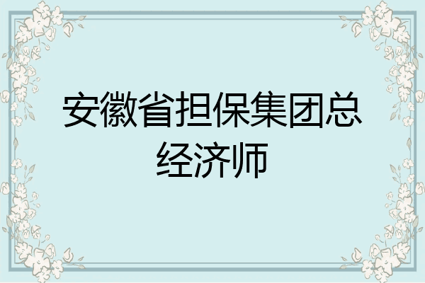 安徽省担保集团总经济师