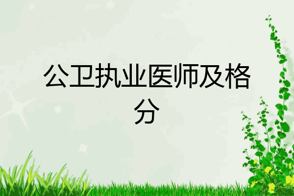 公卫执业医师及格分