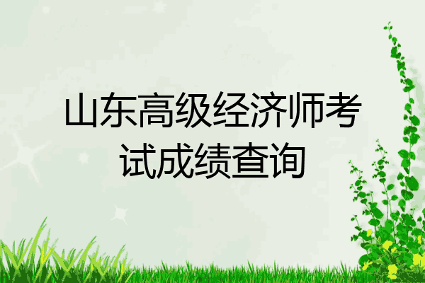 山东高级经济师考试成绩查询