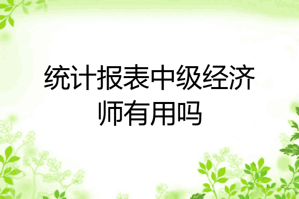 统计报表中级经济师有用吗