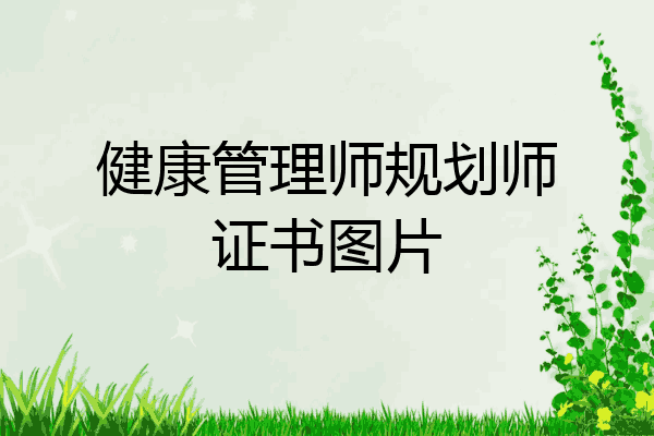 健康管理师规划师证书图片