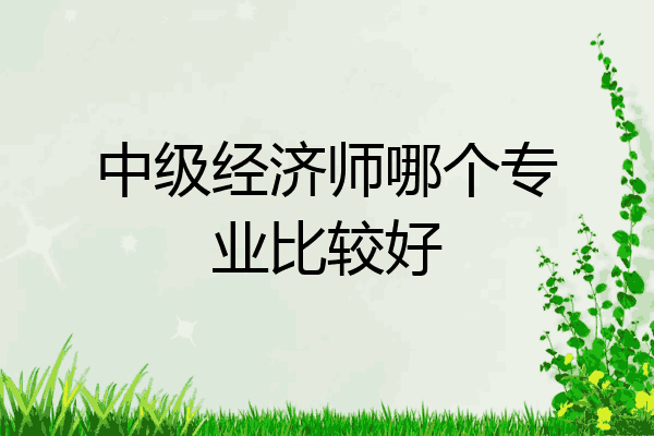 中级经济师哪个专业比较好