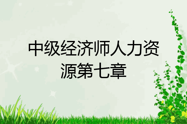 中级经济师人力资源第七章
