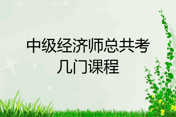 中级经济师总共考几门课程