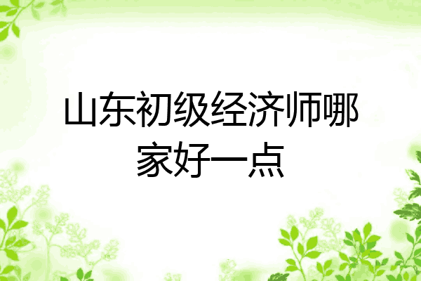 山东初级经济师哪家好一点