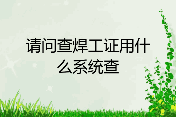 请问查焊工证用什么系统查