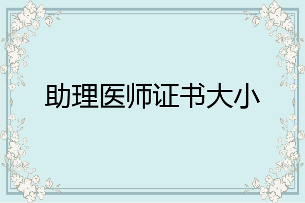 助理医师证书大小