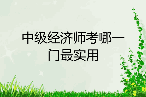 中级经济师考哪一门最实用