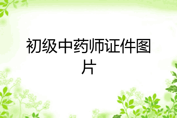初级中药师证件图片