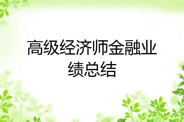 高级经济师金融业绩总结