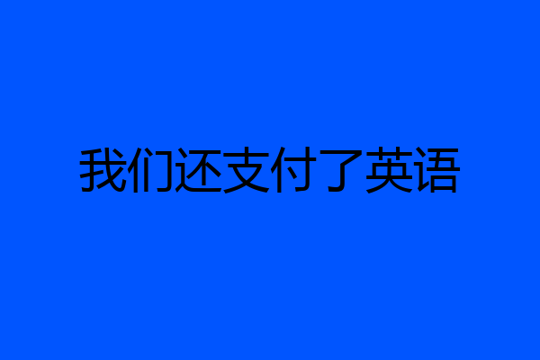 我们还支付了英语