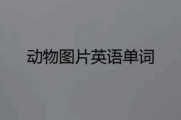 动物图片英语单词