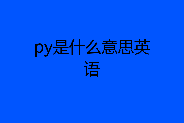 py是什么意思英语
