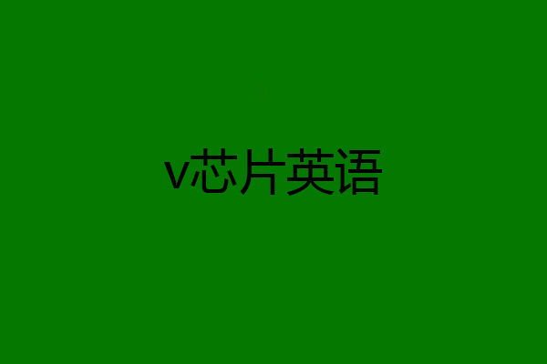 v芯片英语