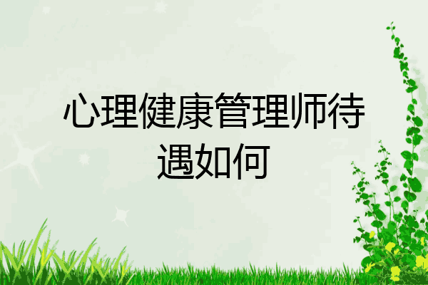 心理健康管理师待遇如何