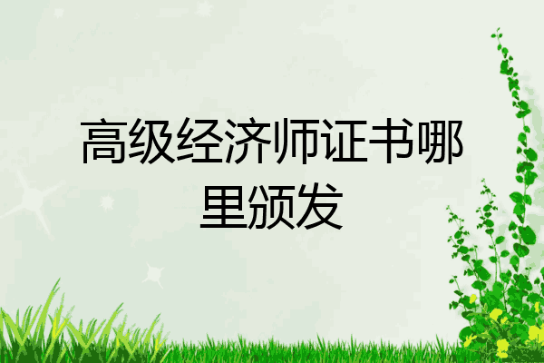 高级经济师证书哪里颁发