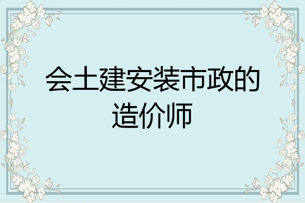 会土建安装市政的造价师