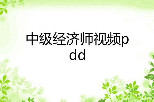 中级经济师视频pdd