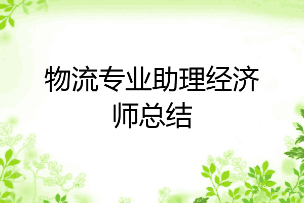 物流专业助理经济师总结
