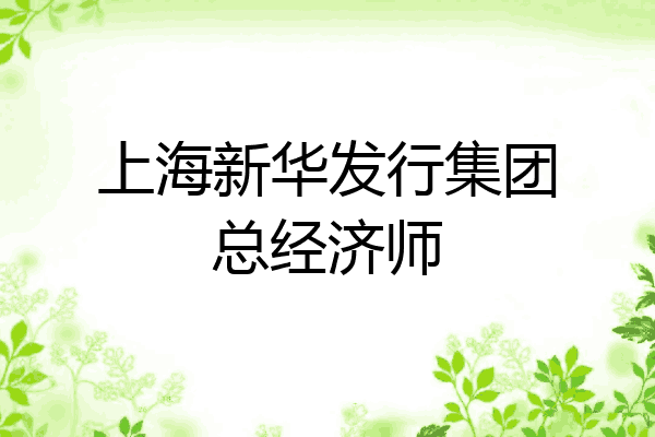 上海新华发行集团总经济师