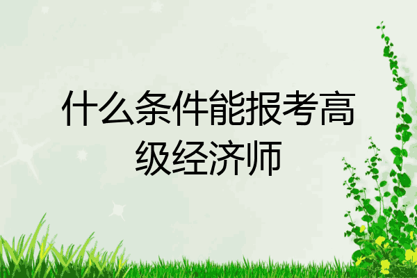 什么条件能报考高级经济师