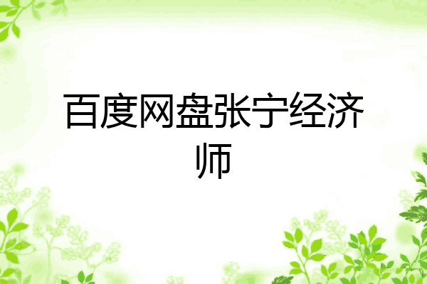 百度网盘张宁经济师