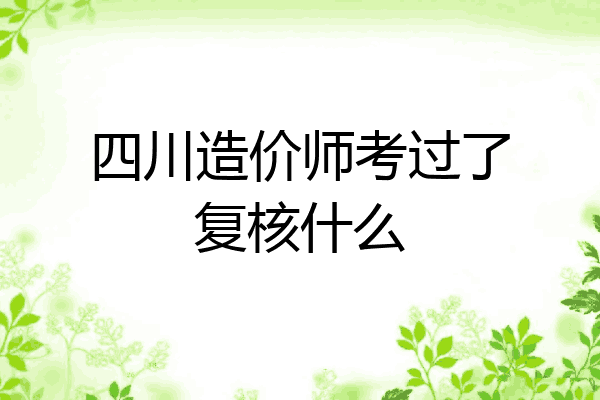 四川造价师考过了复核什么