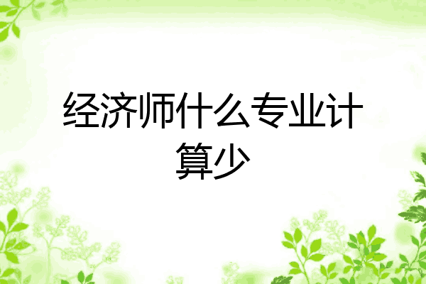 经济师什么专业计算少