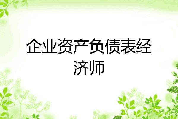 企业资产负债表经济师