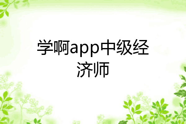 学啊app中级经济师