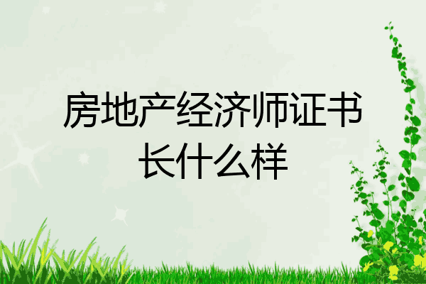 房地产经济师证书长什么样