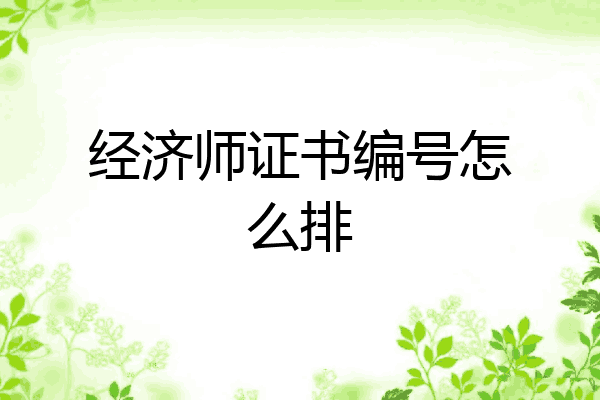 经济师证书编号怎么排
