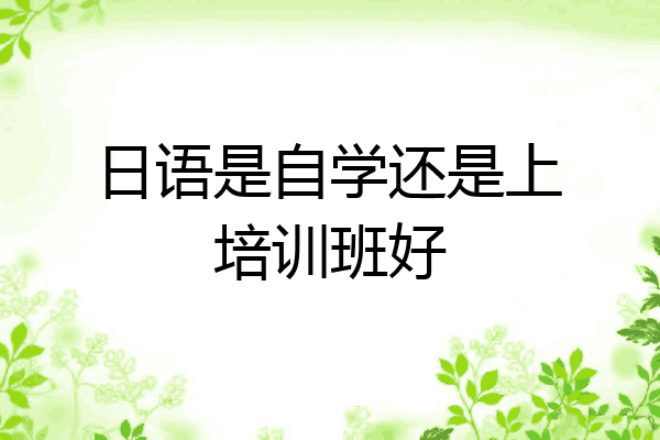 日语是自学还是上培训班好