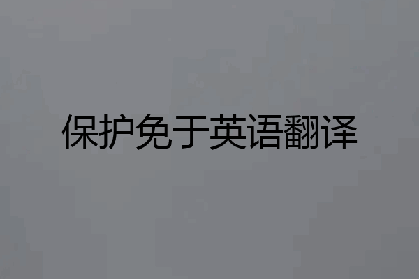 保护免于英语翻译