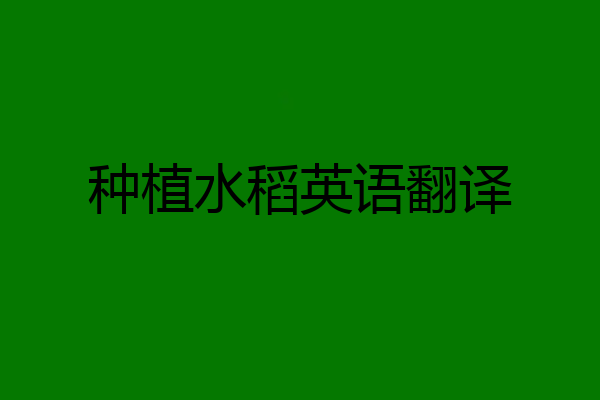 种植水稻英语翻译