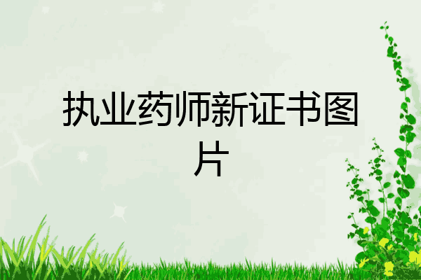 执业药师新证书图片