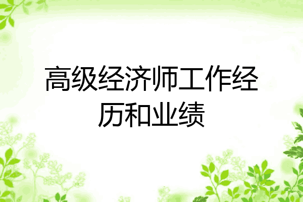 高级经济师工作经历和业绩