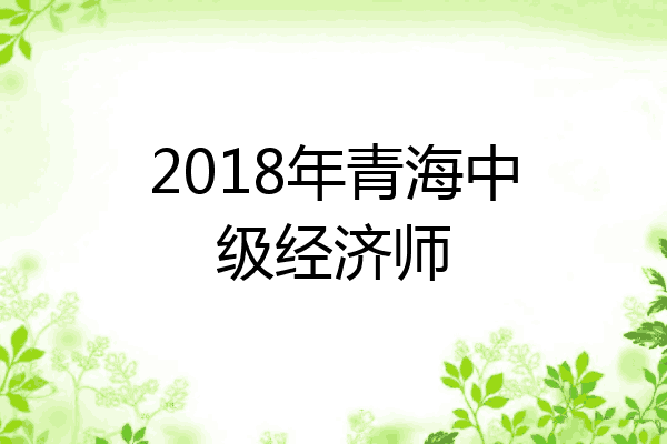 2018年青海中级经济师