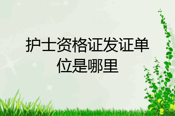 护士资格证发证单位是哪里