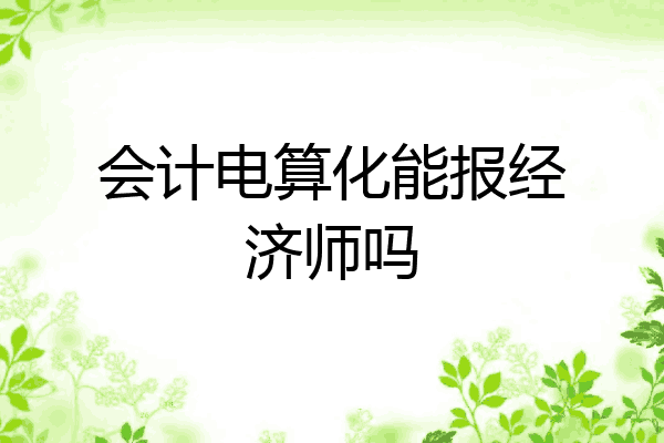 会计电算化能报经济师吗