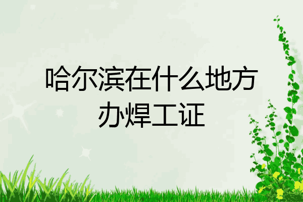 哈尔滨在什么地方办焊工证