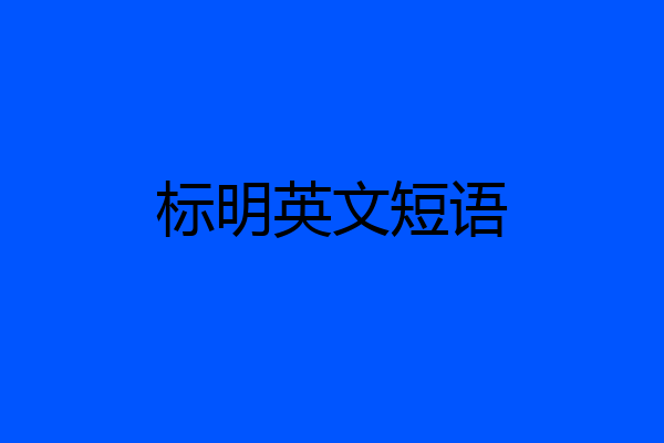 标明英文短语