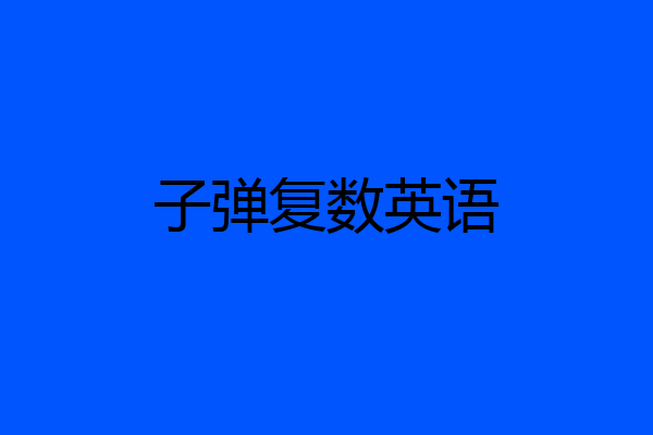 子弹复数英语