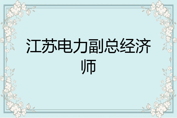 江苏电力副总经济师