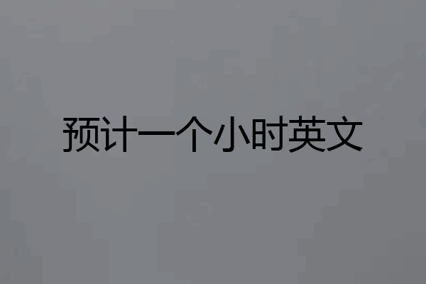 预计一个小时英文